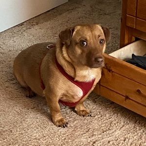 Meet your Posher, Andy